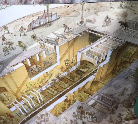 An illustration on exhibit at the Colosseum that shows what was going on under the arena floor before and during events as slaves worked with the caged animals, and had the task of operating manual lifts so the wild animals would each appear, as if by magic, onto the arena floor.