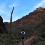 Jon hikes by a Century plant during dusk. Next stop: Cottonwood Campground.