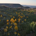 Why I Love Lander, Wyoming