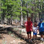 Blue Ridge Lookout: A Perfect Family Hike