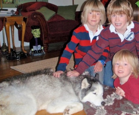 Our three sons with Taiga, during her last days.
