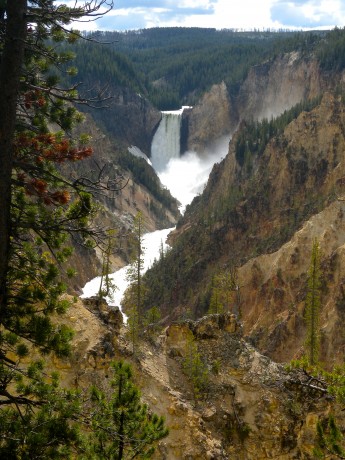 The 308-foot-high Lower Falls tumbles into the Grand Canyon of the Yellowstone.