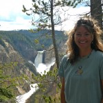 Bears, wolves, elk and more in Yellowstone.