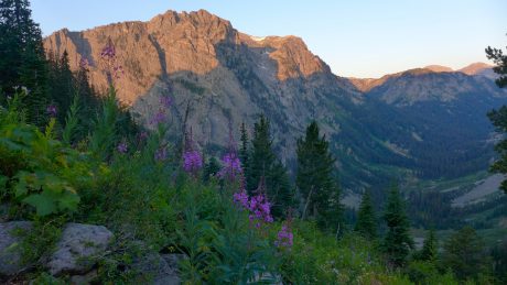 Flowers and granite and alpenglow.