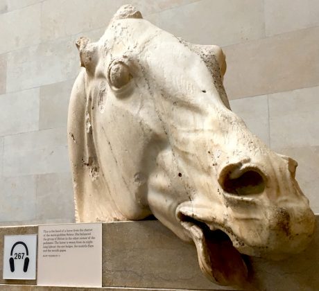 Part of the Elgin Marbles, this is the head of a horse from the chair of the moon-goddess, Selene.