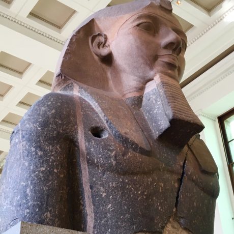 The statue of King Ramesses II is the upper part of a colossal seated statue. 