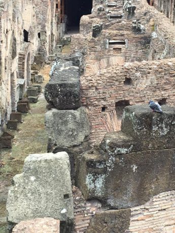 A close up of the area under the arena, where wild animals were contained.