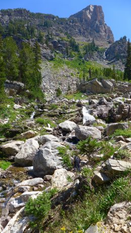 Cascades in the south fork of Cascade Canyon.