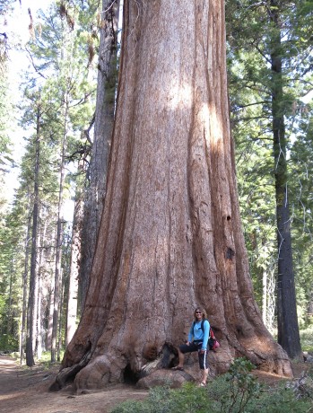 Standing in front of Giant Grizzly Sequoia in Yosemite's Mariposa Grove.
