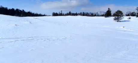 The wintry, vast landscape on the Loop Road, on Wyoming's South Pass, along the Continental Divide, was a great back drop for our outing.