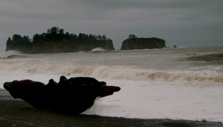 Rialto Beach, along the Pacific Ocean, and part of Olympic National Park.