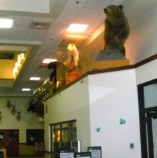 The Riverton Airport. It's a really nice airport with a local Wyoming touch.