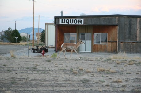 Typical scene in towns like Jeffrey City. (Photo by Florian Herrmann)