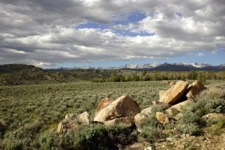 My backyard, in Lander, WY.